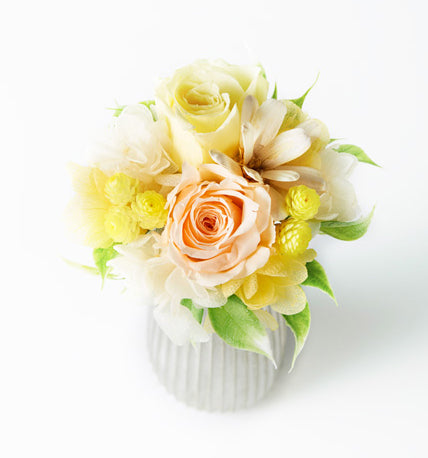 NORIKA(ノリカ)プリザーブドフラワー(ライトオレンジ)Mサイズ